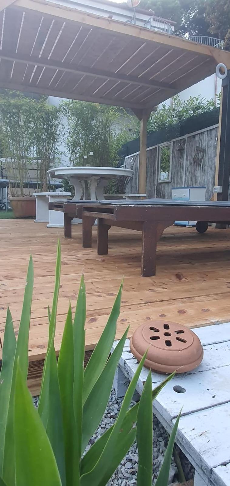 Domusauroom, Relax Nel Cuore Della Versilia - Pet Friendly فياريجيو المظهر الخارجي الصورة